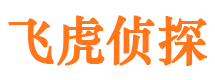 坡头市侦探调查公司